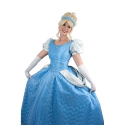 Cinderella Princess