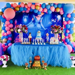 Cinderella Rectangular Backdrop