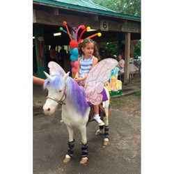Fairy20Ponies20Unicorns2.1 1625286633 Fairy Ponies (Unicorns)