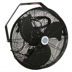 Regular Fan