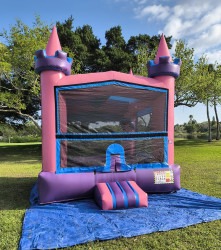 Imagen20de20WhatsApp202025 03 0120a20las2009.02.25 4521124b 1 Princess Castle Bouncer