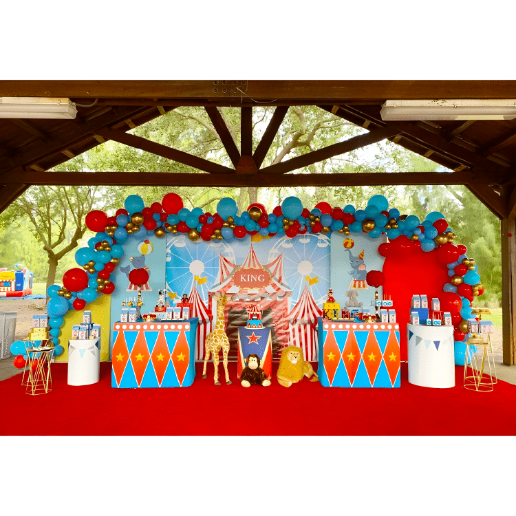 Modern Decor Package #6 Circus B