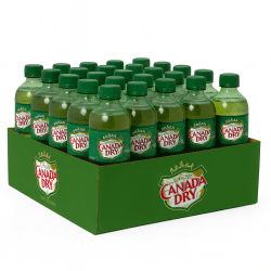 Canada Dry Ginger Ale 20 Oz (24-bottle pack)