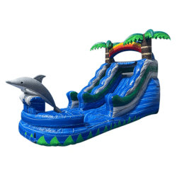 13 Ft Dolphin Water Slide