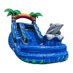 video20game20inflatable2036 1763586761 13 Ft Dolphin Water Slide