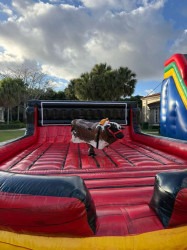 WhatsApp20Image202025 12 2420at2020.03.10 1767019587 Mechanical Bull