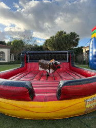 WhatsApp20Image202025 12 2420at2020.03.16 1767019587 Mechanical Bull