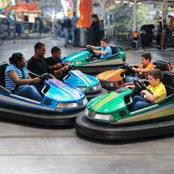 Bumper Cars