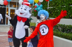 DSC 0495 1772296316 Cat in the Hat