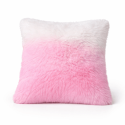 Decorative Pillows